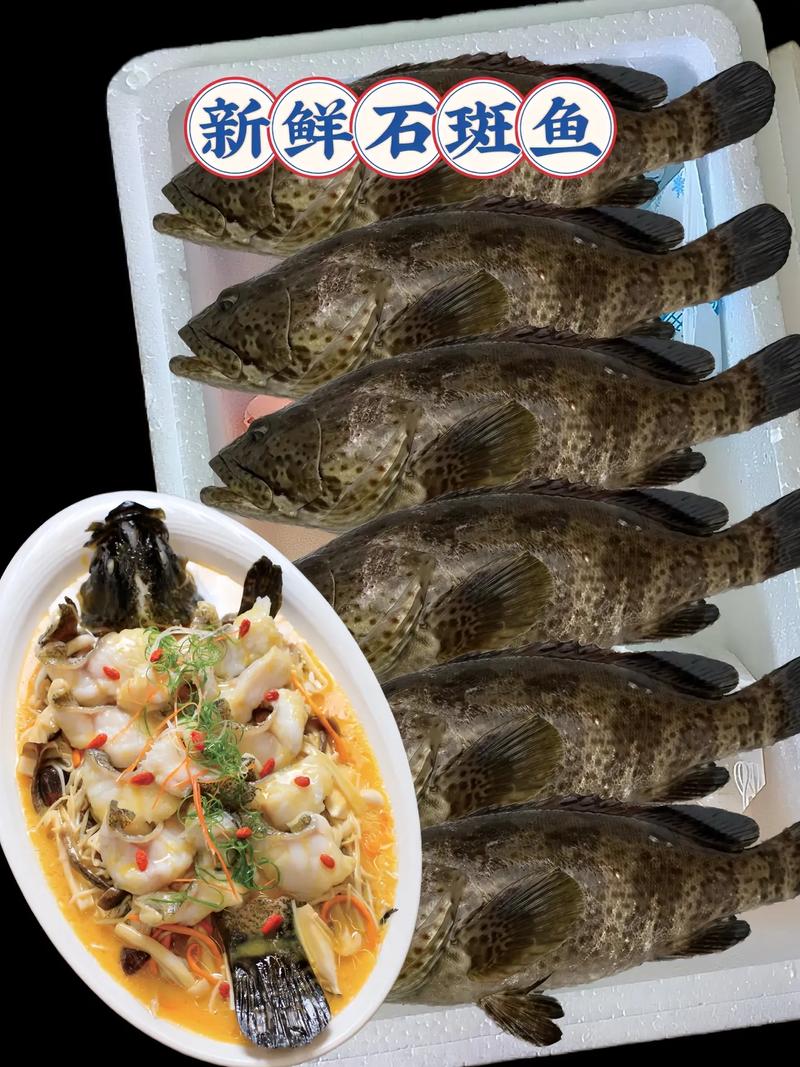 石斑鱼,石斑鱼怎么做好吃