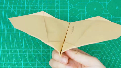 纸飞机推特,纸飞机推特蝙蝠