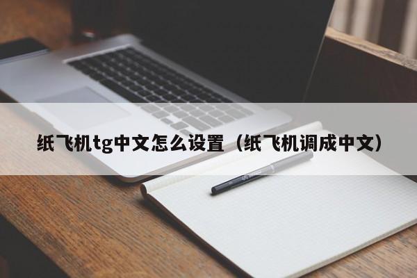 苹果手机纸飞机怎么弄成中文版的,苹果手机纸飞机软件怎么弄成中文版的